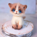 Custom Felted Pet with Acrylic Cover, Handmade Felted Cat Sculpture, Pet Loss Gift Finished Product