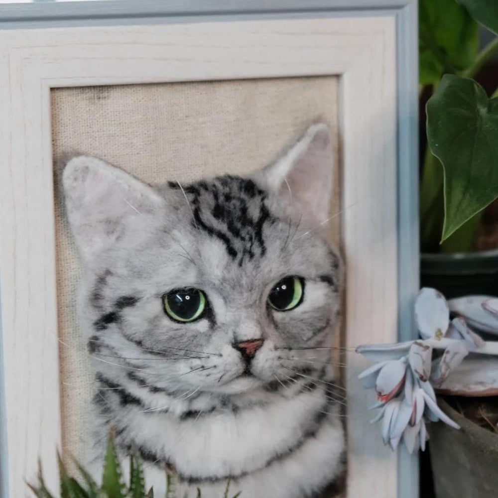 Custom Felted Cat Portrait Framed, Pet Face in Frame, 3D Pet Portraits, Finished Product
