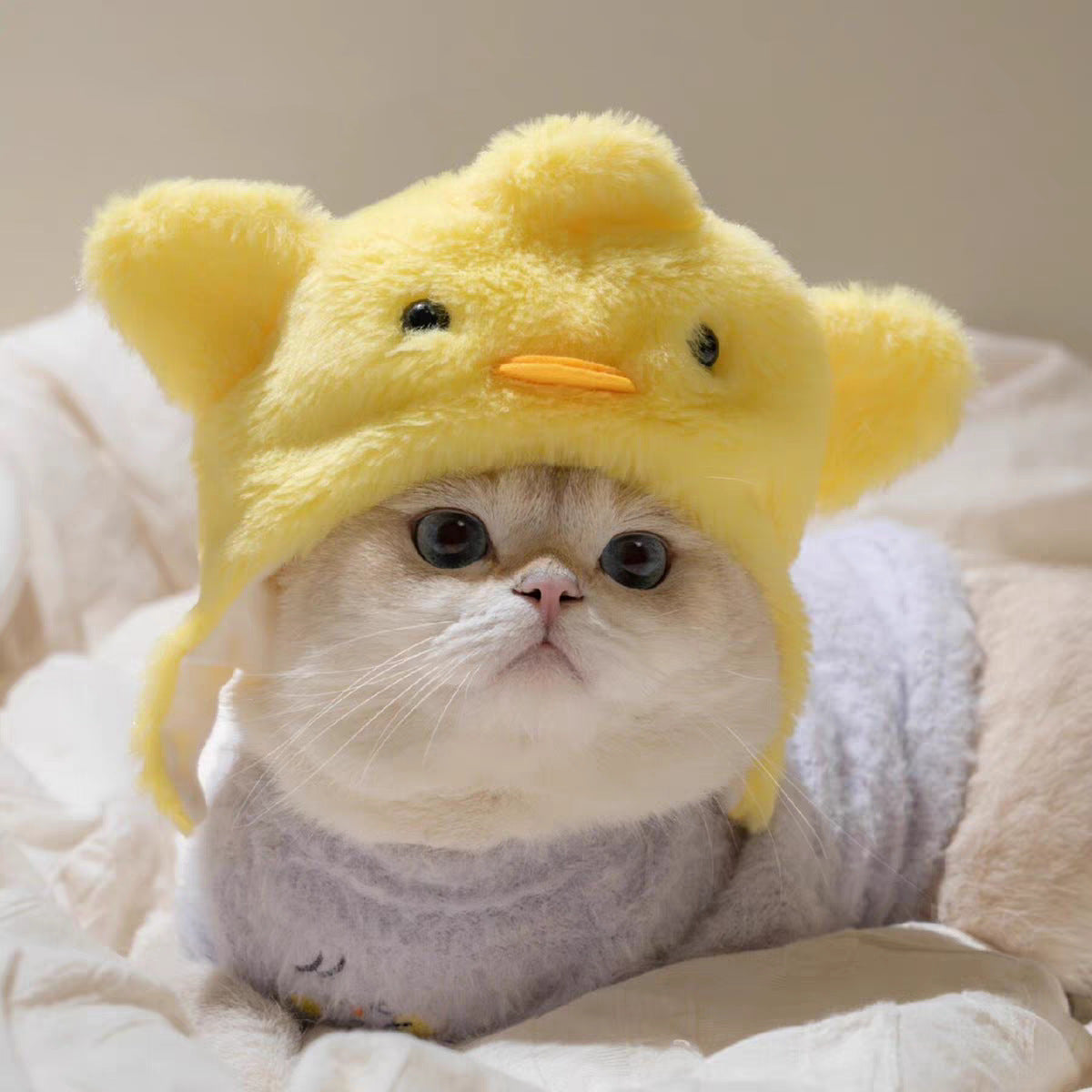 Adjustable Cute Pet Hat for Winter Costume for Cats & Small Dogs, Funny Pet Headwear