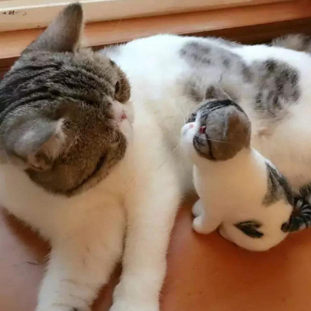 Custom Handmade Wool Needle Felted Cat Body, Cat Lovers Gift, Cat Memorials Gift with Free Gift Box