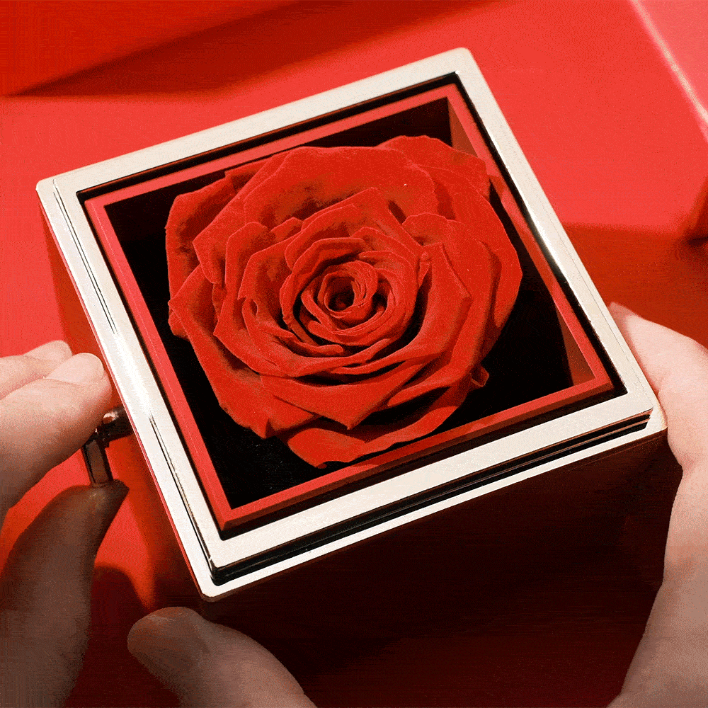 Eternal Rose Box & Photo Projection Couple Bracelet Braided Black Rope Bracelet Gift For Lovers