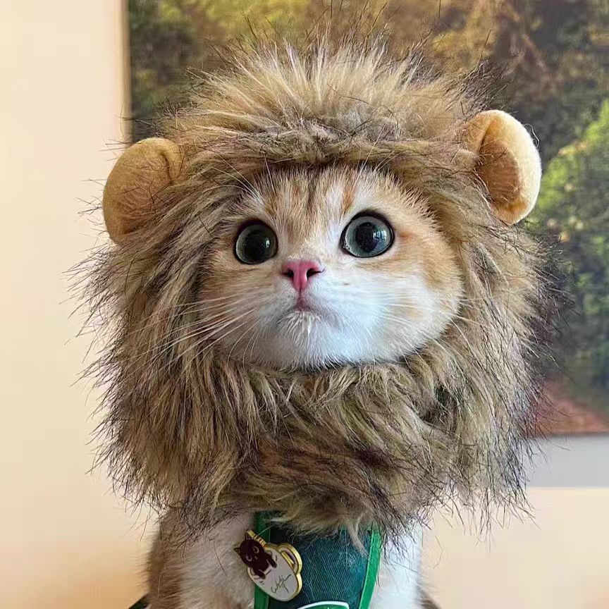 Adjustable Cute Pet Hat for Winter Costume for Cats & Small Dogs, Funny Pet Headwear