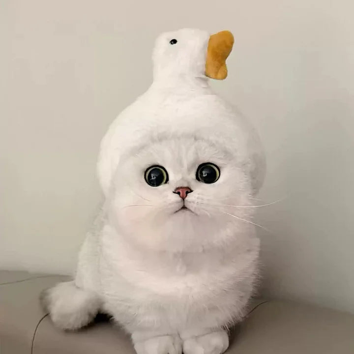 Adjustable Cute Pet Hat for Winter Costume for Cats & Small Dogs, Funny Pet Headwear