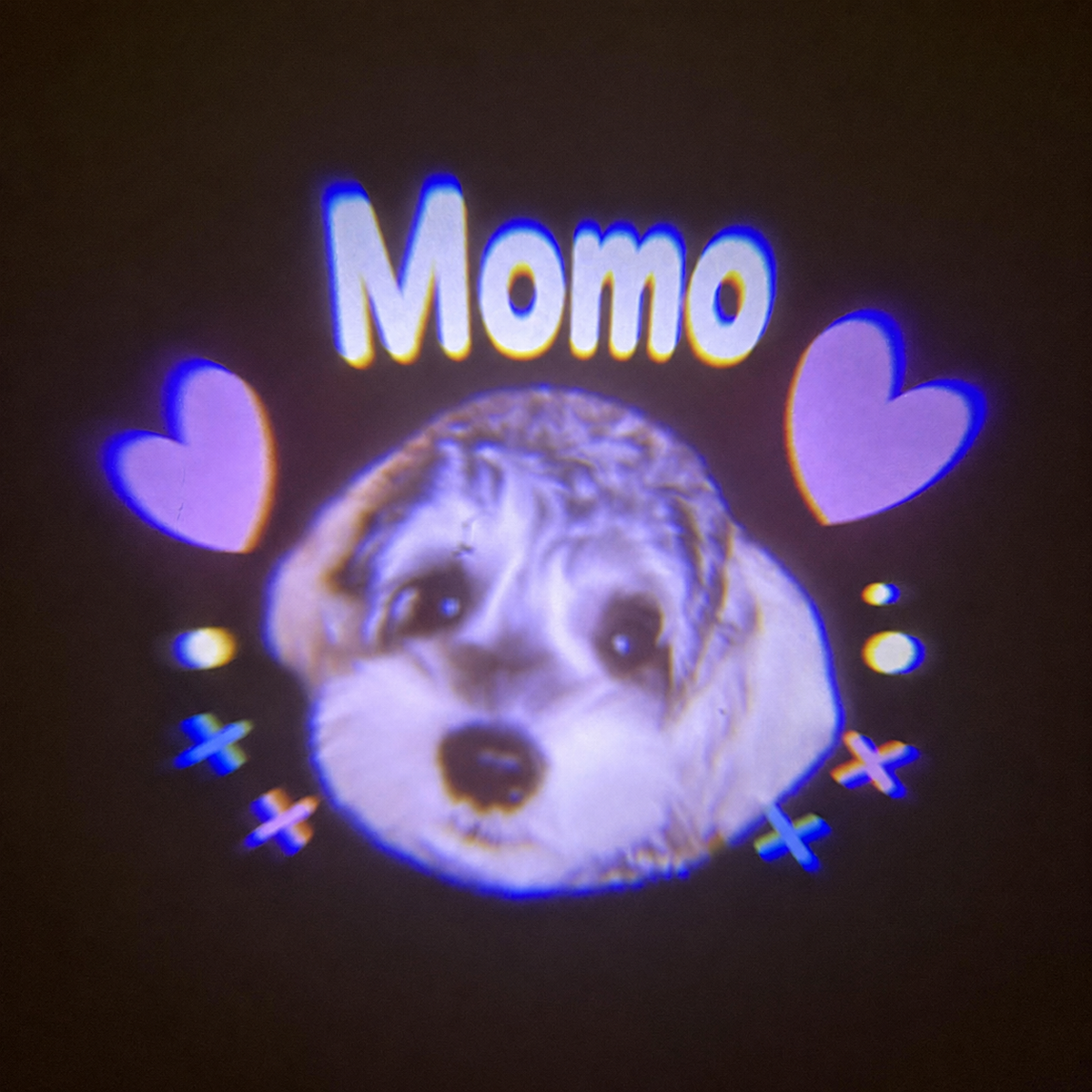 Custom Pet Collar Projector Light Nighttime Anti-Loss Light Dog Social Light Gifts for Pet Lovers (No Collar)