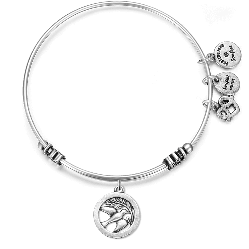 Truth Charm Bangle