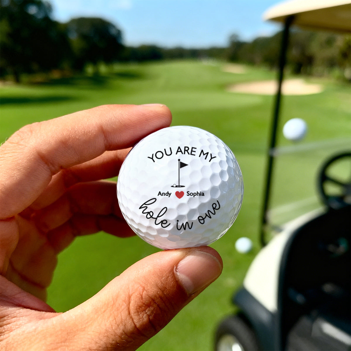 Custom Text Golf Ball You Are My Hole In One Gift For Golf Lover