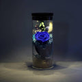 Night Lamp, LED Bottle Lamp Touch Light - Blue Enchantress