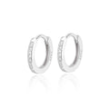 Exquisite Earrings Silver