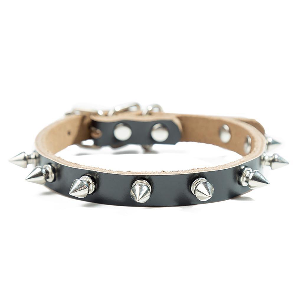 Pet Collar Black