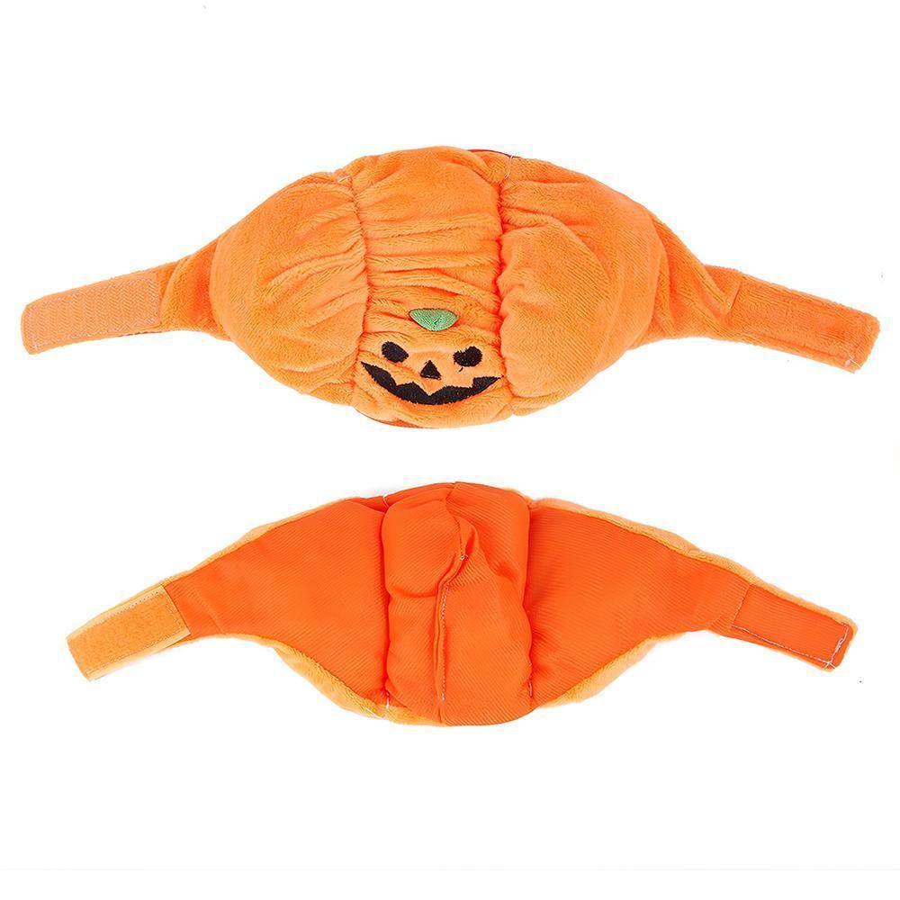 Pet Pumpkin Hat Gift for Pet Lover
