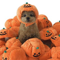 Pet Pumpkin Hat Gift for Pet Lover