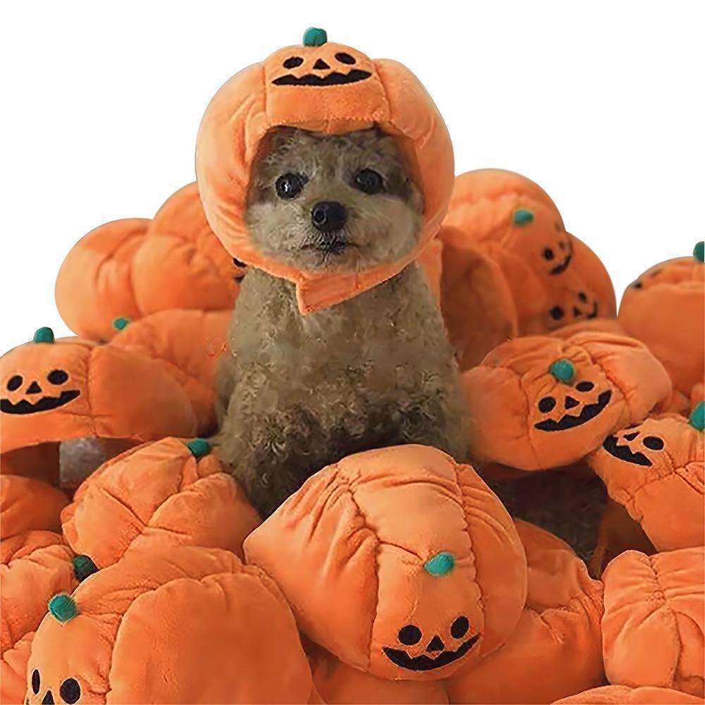 Pet Pumpkin Hat Gift for Pet Lover
