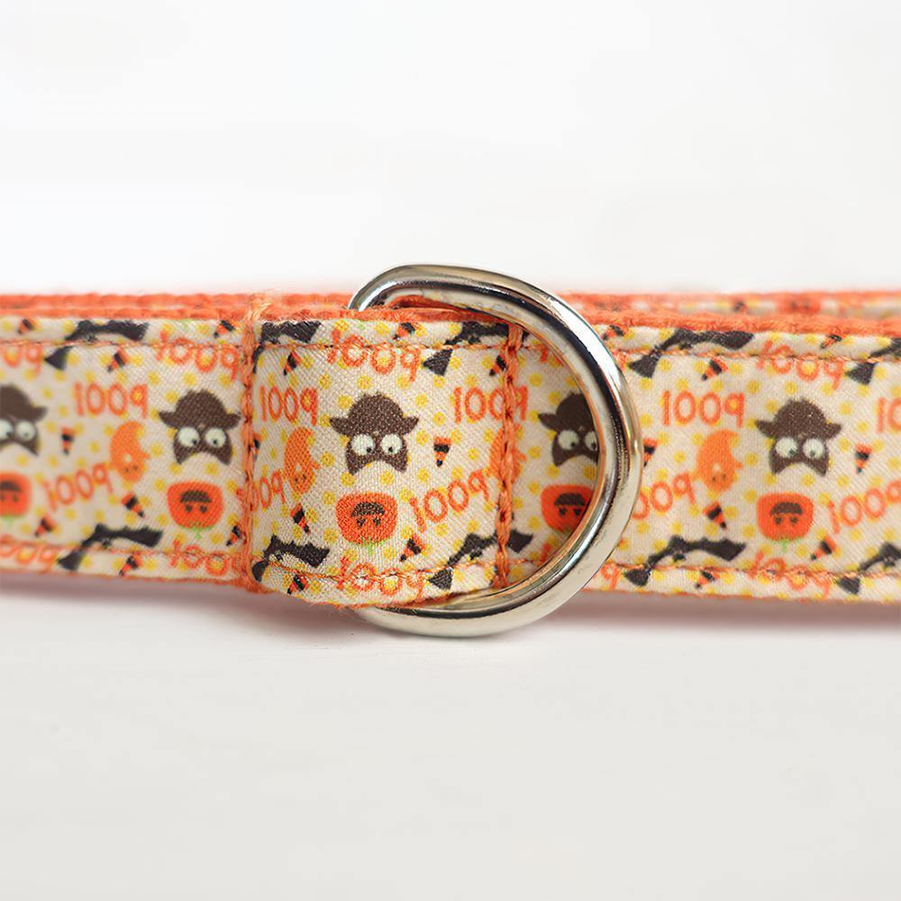 Happy Pumpkins Dog Leash Large Size