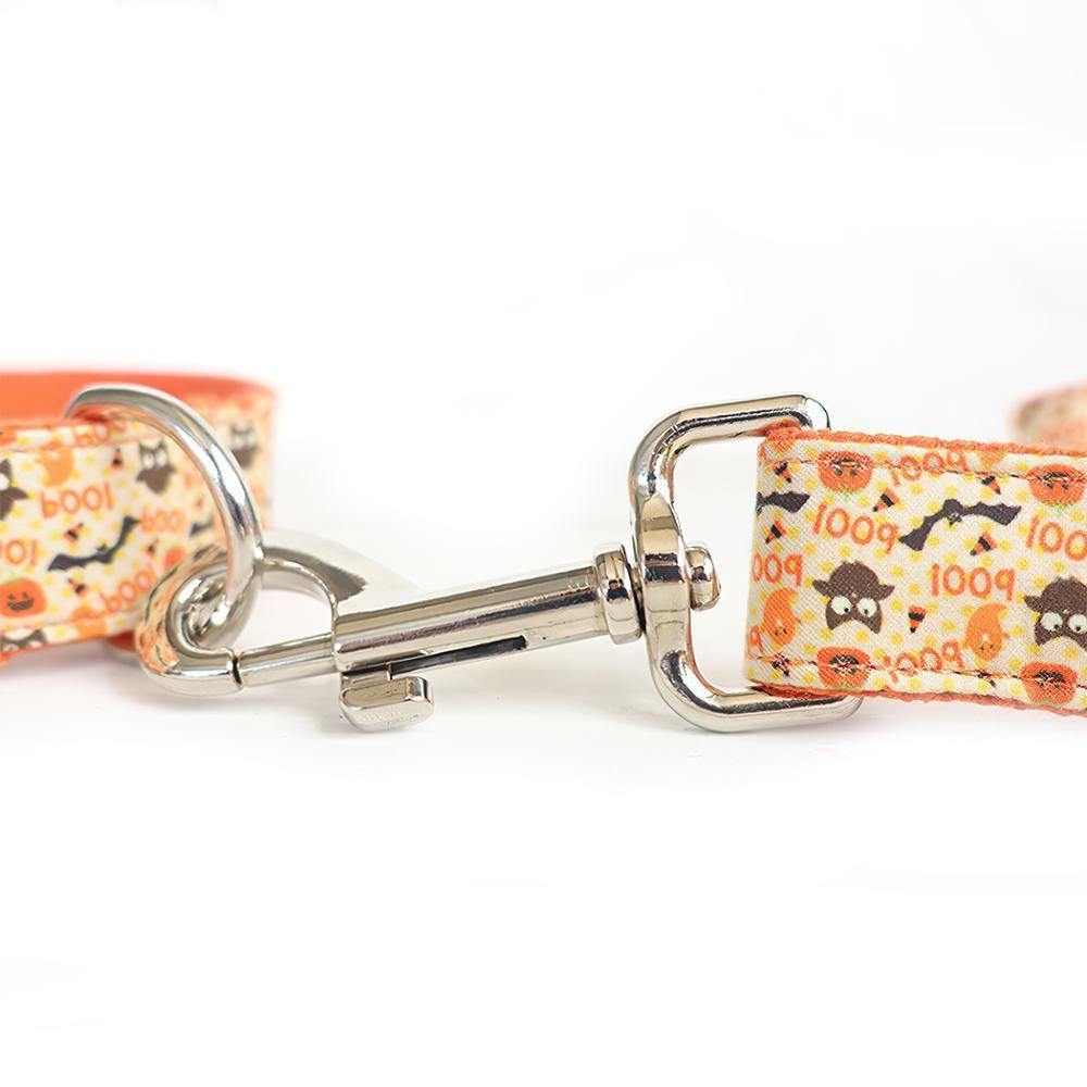 Happy Pumpkins Dog Leash Large Size