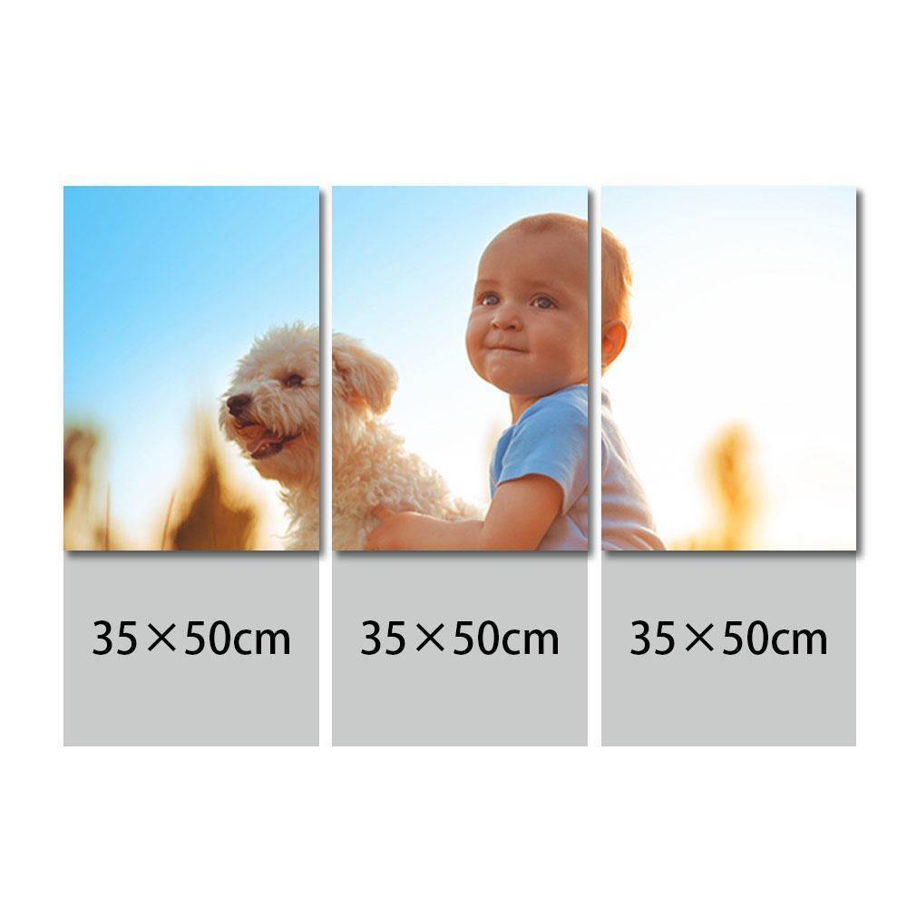 Custom Painting 3pcs Contemporary Frameless Wall Art
