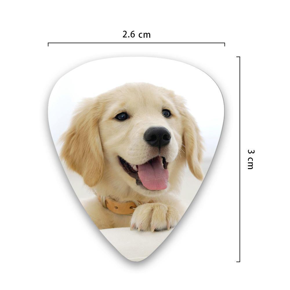 Personalized Guitar Pick with Photo For Pet -12Pcs