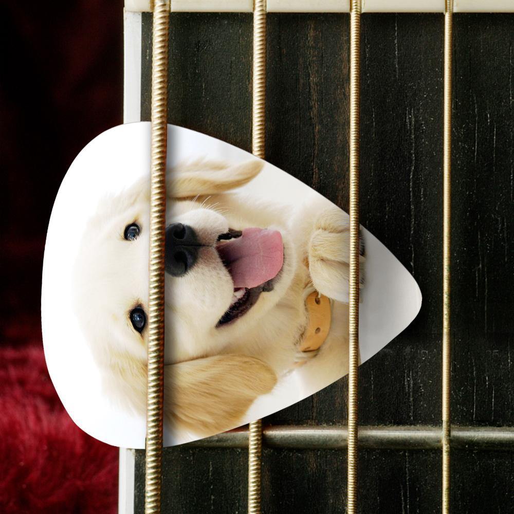 Personalized Guitar Pick with Photo For Pet -12Pcs