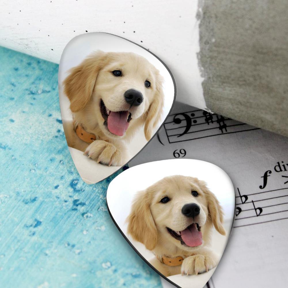 Personalized Guitar Pick with Photo For Pet -12Pcs