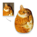 Custom Cute Cats Photo Face Pillow 3D Portrait Pillow Cat