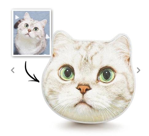 Custom Cute Cats Photo Face Pillow 3D Portrait Pillow The Little Puff