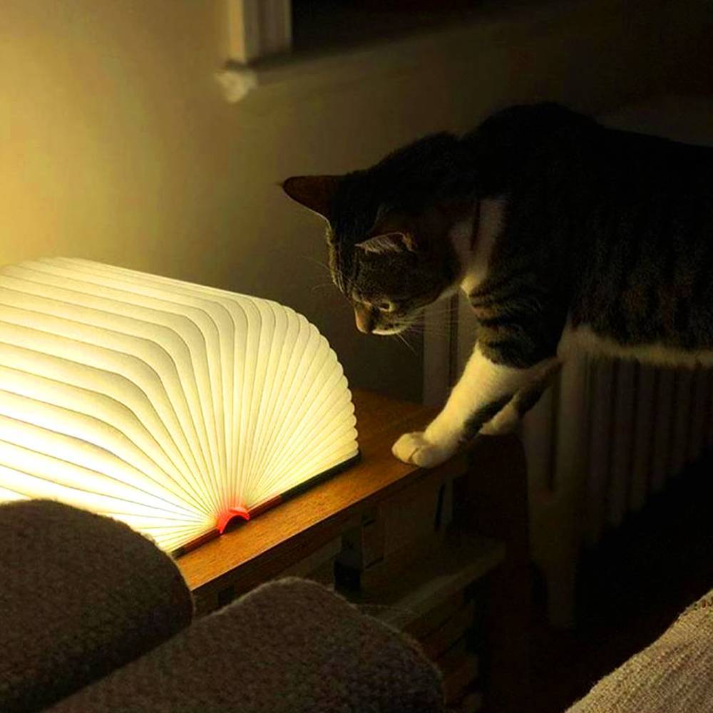 Custom Amazing Book Lamp Desk Reading Floor Night Light White And Black