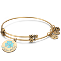 Prosperity Charm Bangle Gold Plated