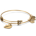 Friends Charm Bangle Gold Plated