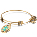 Blessings of Angel Charm Bangle Gold Plated