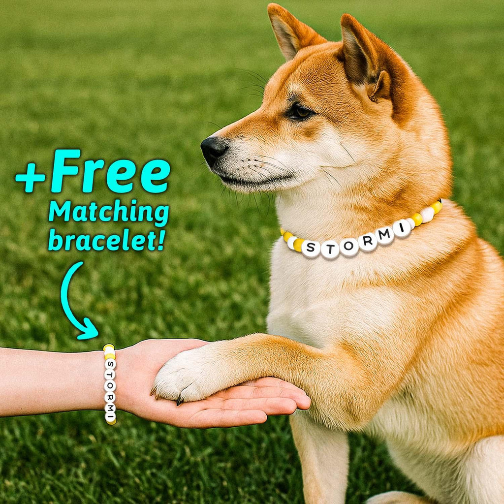 Personalized Name Beaded Pet Collar with Free Matching Bracelet Gift for Pets