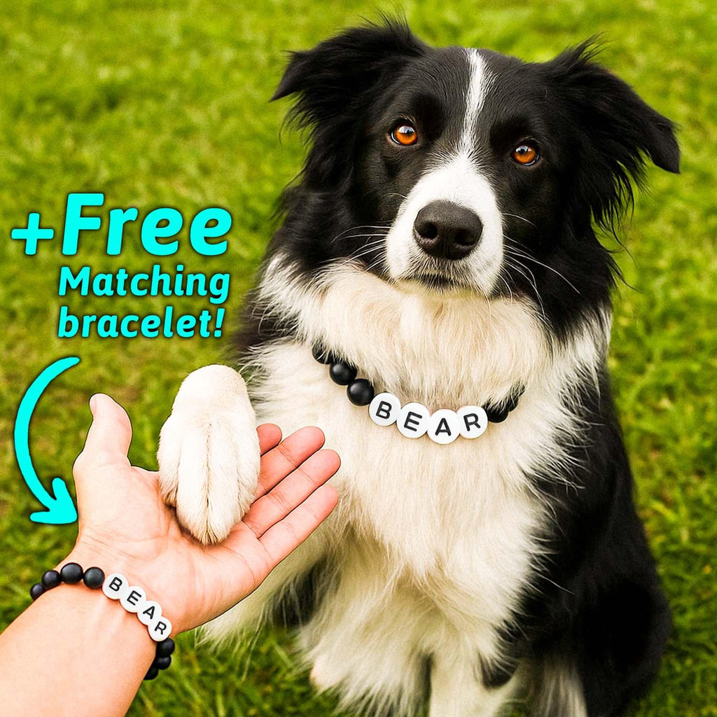 Personalized Name Beaded Pet Collar with Free Matching Bracelet Gift for Pets