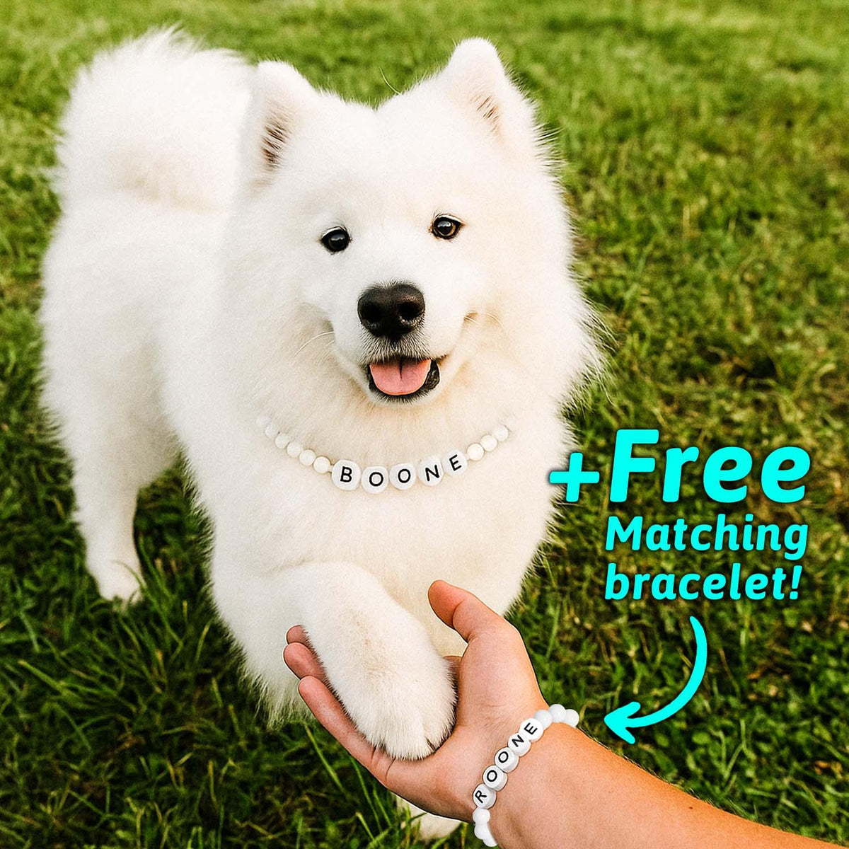 Personalized Name Beaded Pet Collar with Free Matching Bracelet Gift for Pets