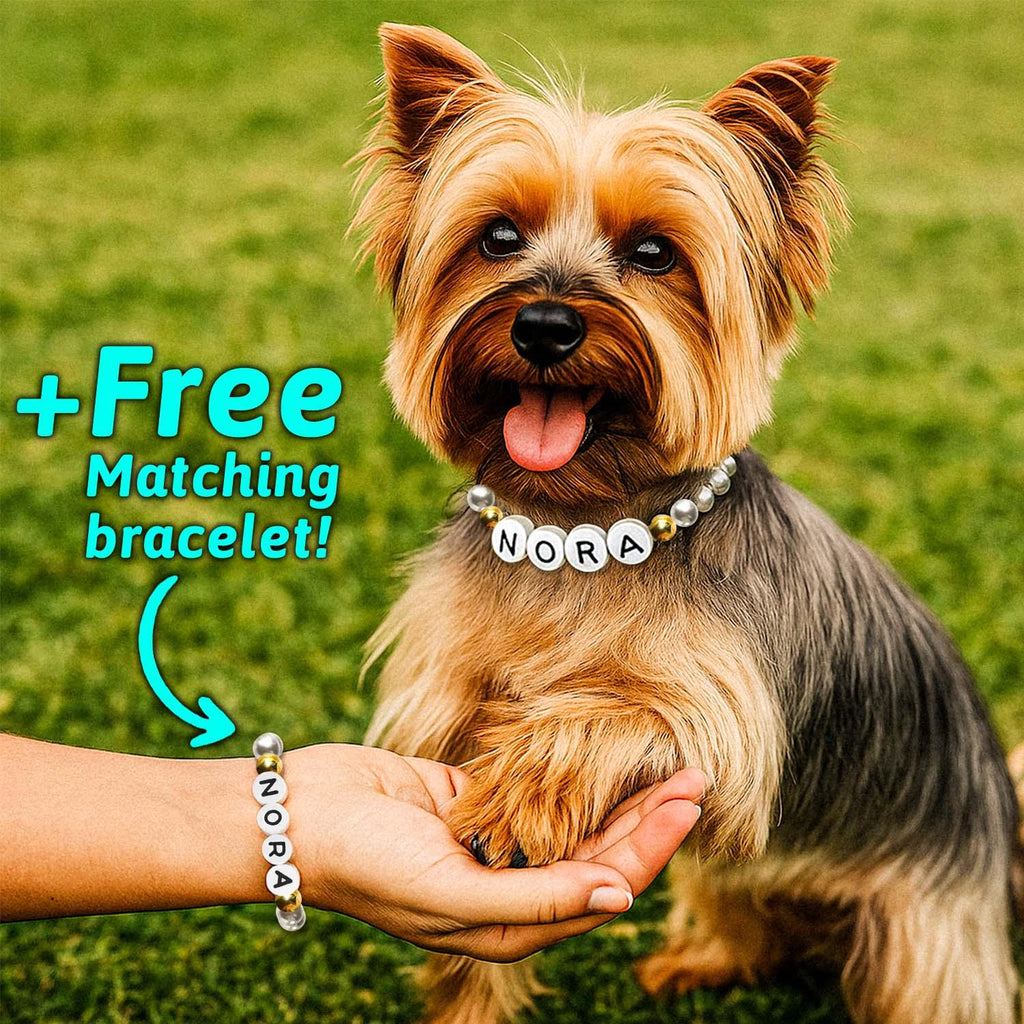 Personalized Name Beaded Pet Collar with Free Matching Bracelet Gift for Pets