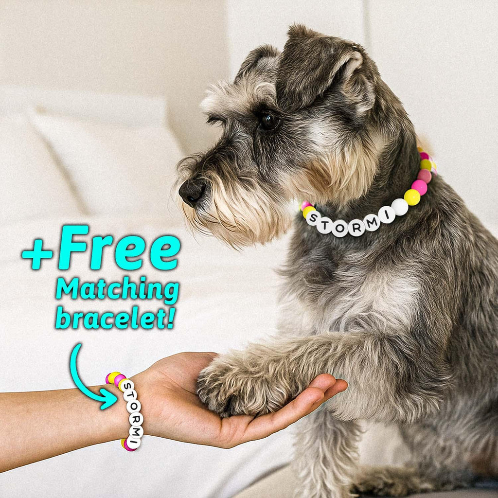 Personalized Name Beaded Pet Collar with Free Matching Bracelet Gift for Pets