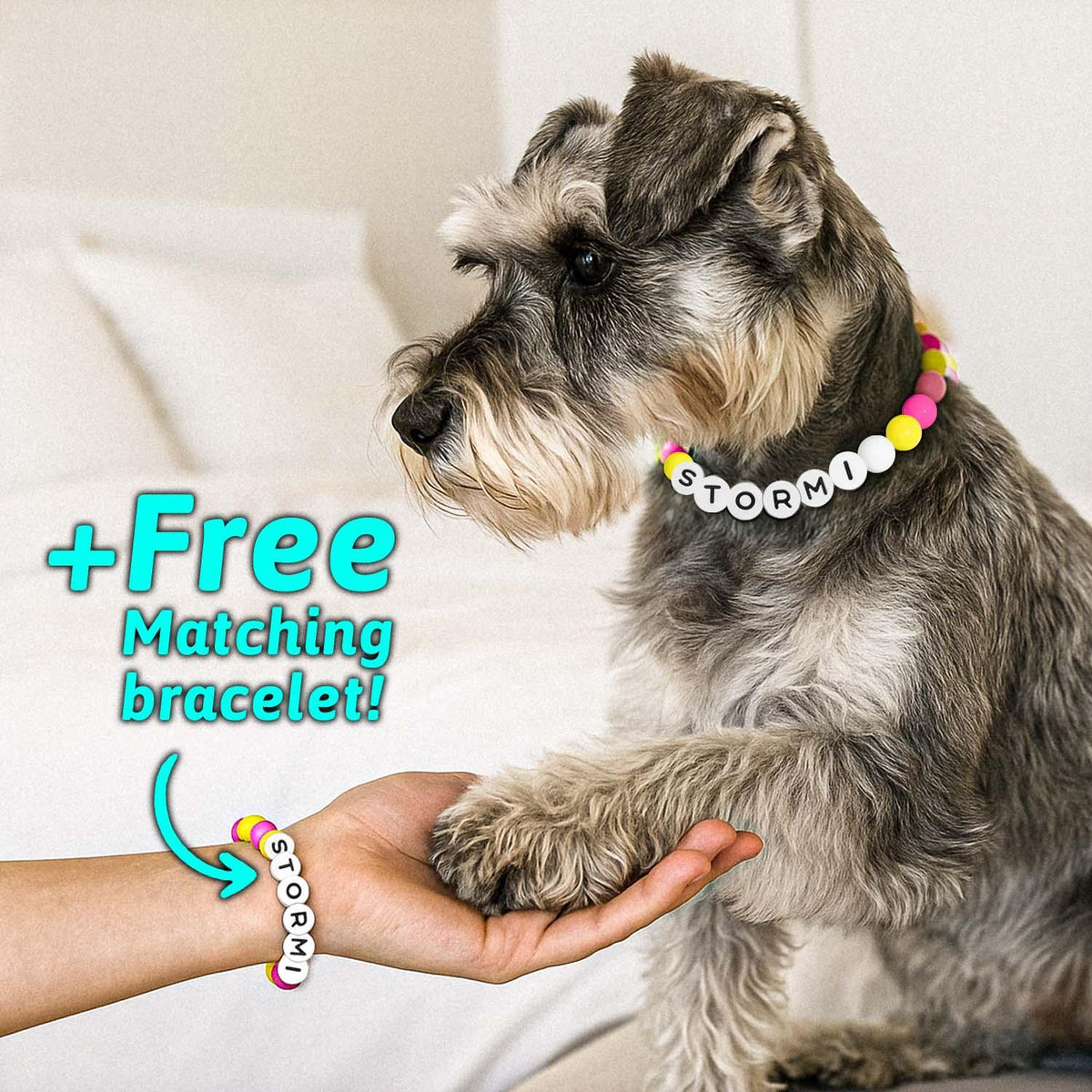 Personalized Name Beaded Pet Collar with Free Matching Bracelet Gift for Pets