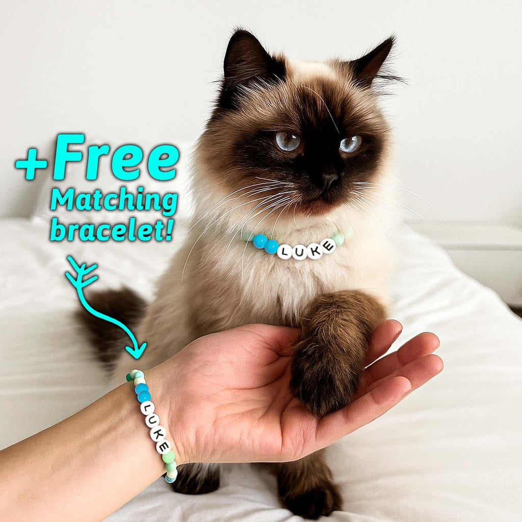 Personalized Name Beaded Pet Collar with Free Matching Bracelet Gift for Pets