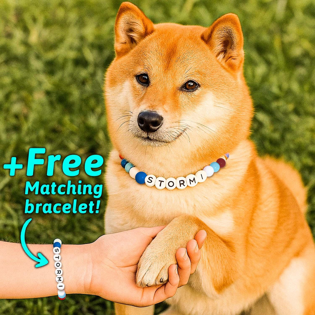 Personalized Name Beaded Pet Collar with Free Matching Bracelet Gift for Pets