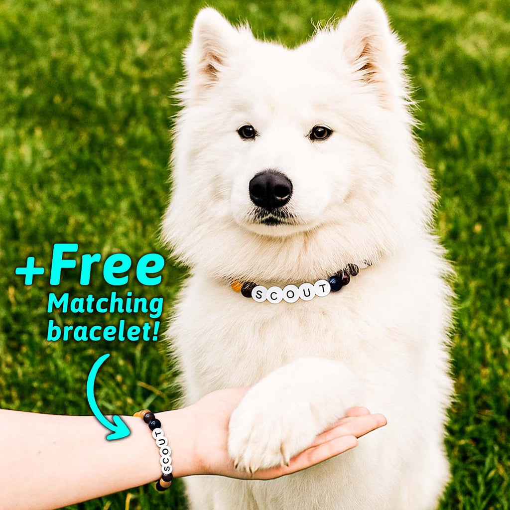 Personalized Name Beaded Pet Collar with Free Matching Bracelet Gift for Pets
