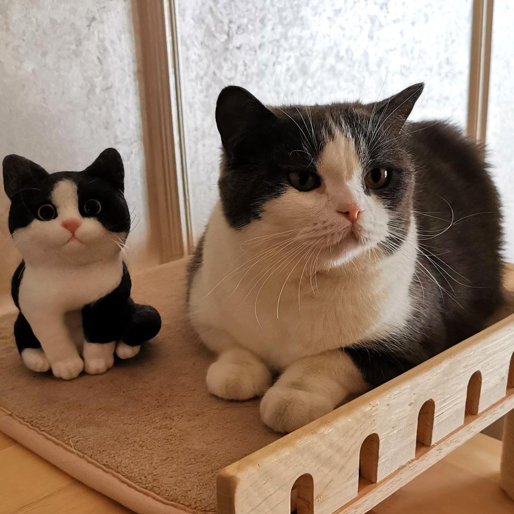 Custom Pet Portrait Felted Cat Body, Unique Custom Felted Gift for Cat Lovers Finished Product