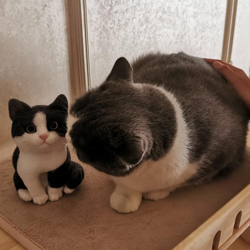 Custom Pet Portrait Felted Cat Body, Unique Custom Felted Gift for Cat Lovers Finished Product