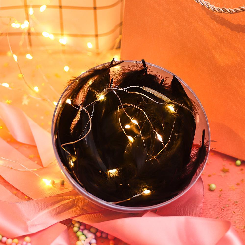 Transparent Plastic Ball Light String Gray Feather Three-piece Suit Creative Gift Combination