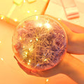 Transparent Round Plastic Ball Color Light String Light Purple Raffia Shredded Paper Silk Three-piece Suit Creative Gift Combination