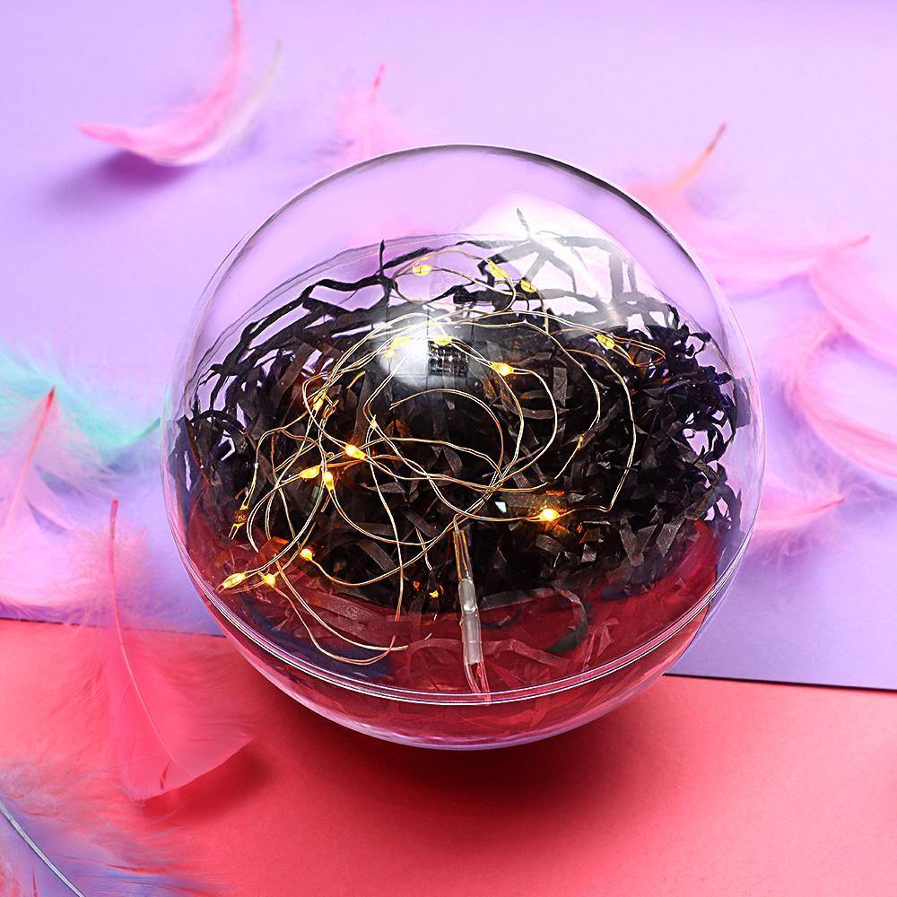 Transparent Round Plastic Ball Color Light String Black Raffia Shredded Paper Silk Three-piece Suit Creative Gift Combination