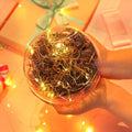 Transparent Round Plastic Ball Color Light String Dark Gray Raffia Shredded Paper Silk Three-piece Suit Creative Gift Combination