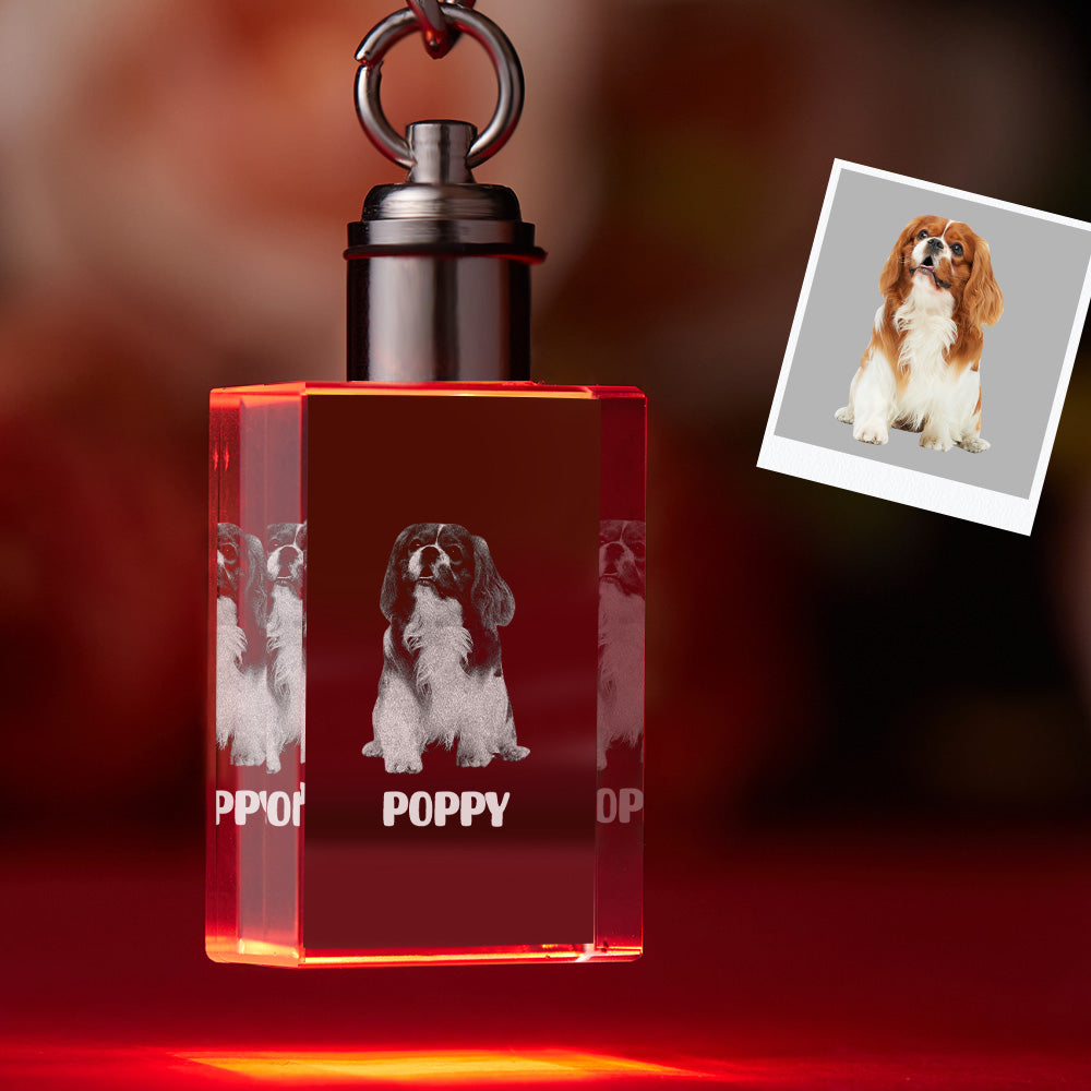 Custom Photo Crystal Keychain Pet Keepake Crystal Keychain  Rectangle Shape Photo Keychain