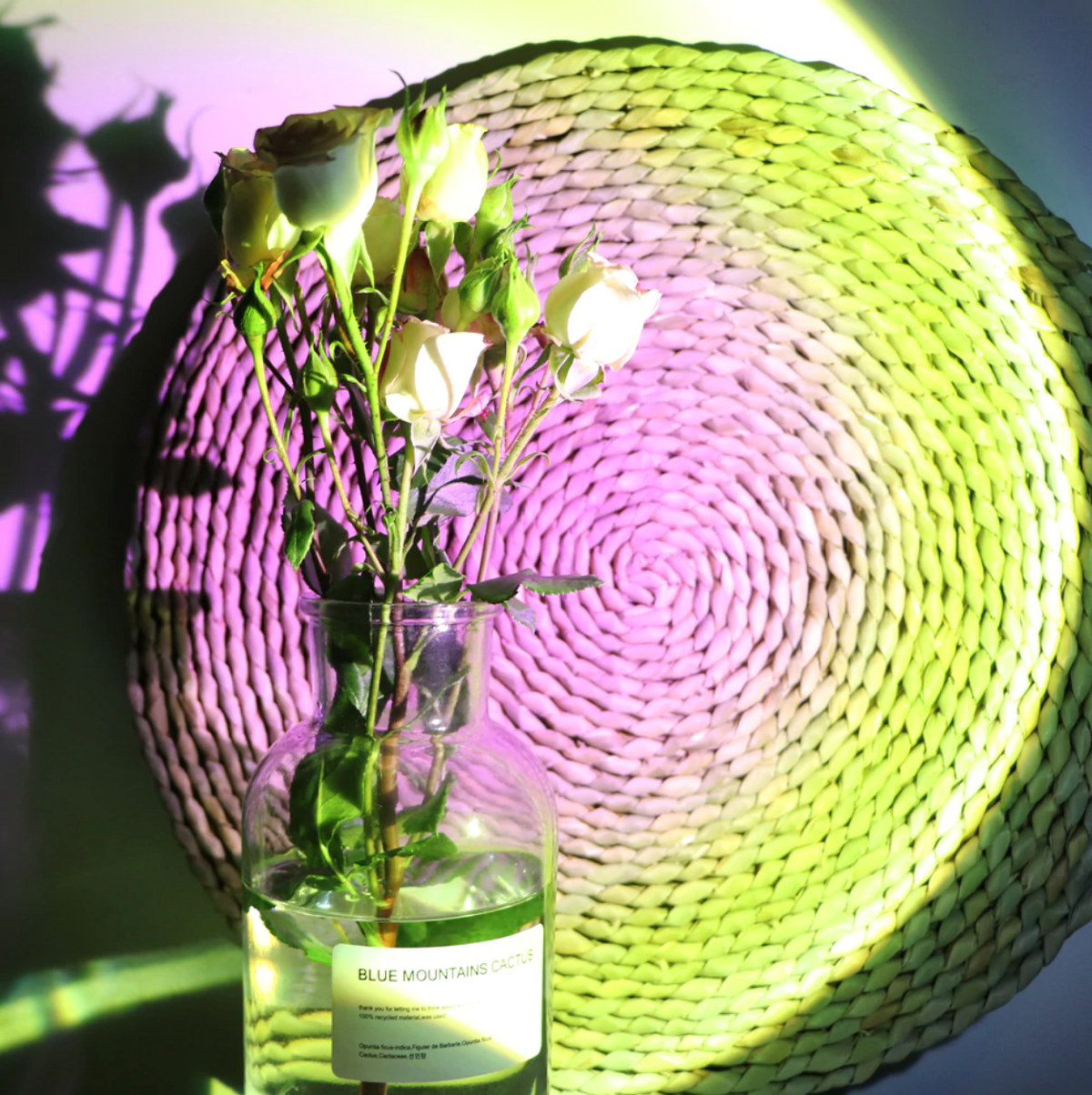 Christmas Gifts Sunset Projector Lamp Sunny (Green & Pink) Aura Glow Lights Decor For Bedroom Rainbow Projection Lamp