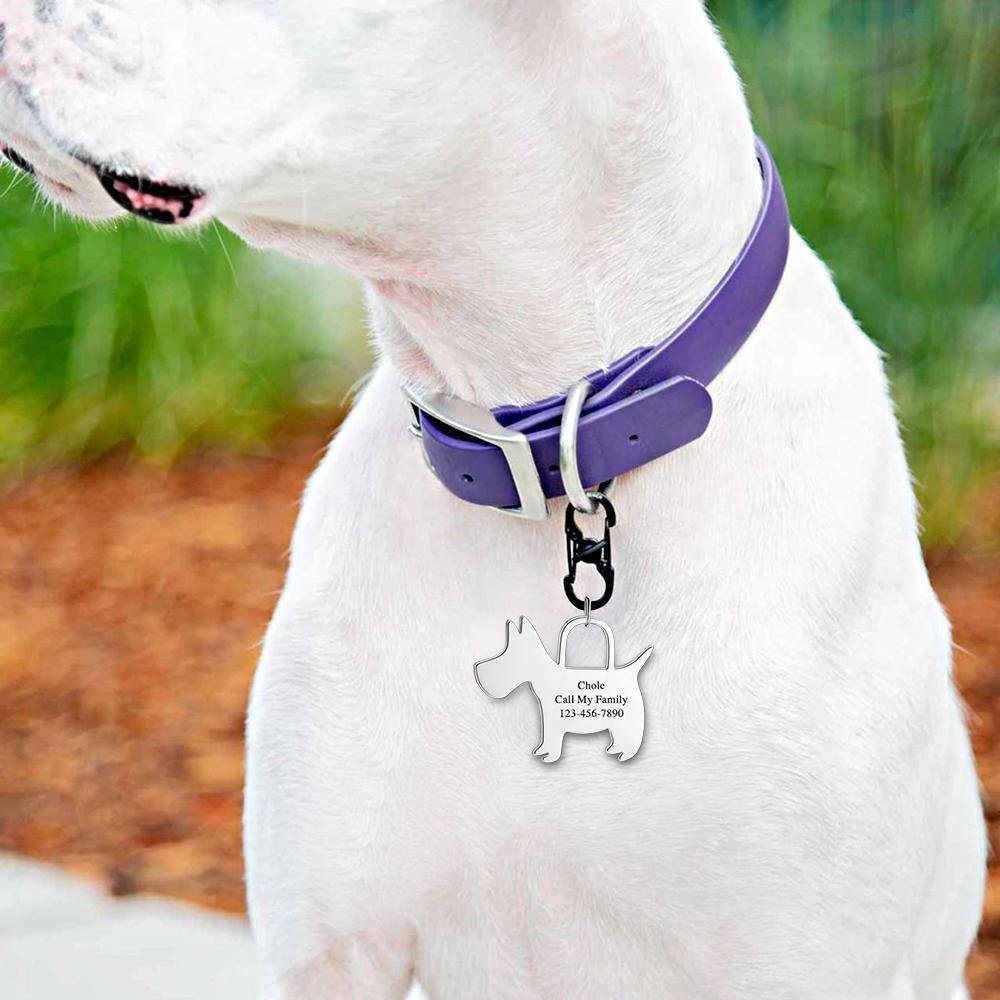 Engraved Dog Tag