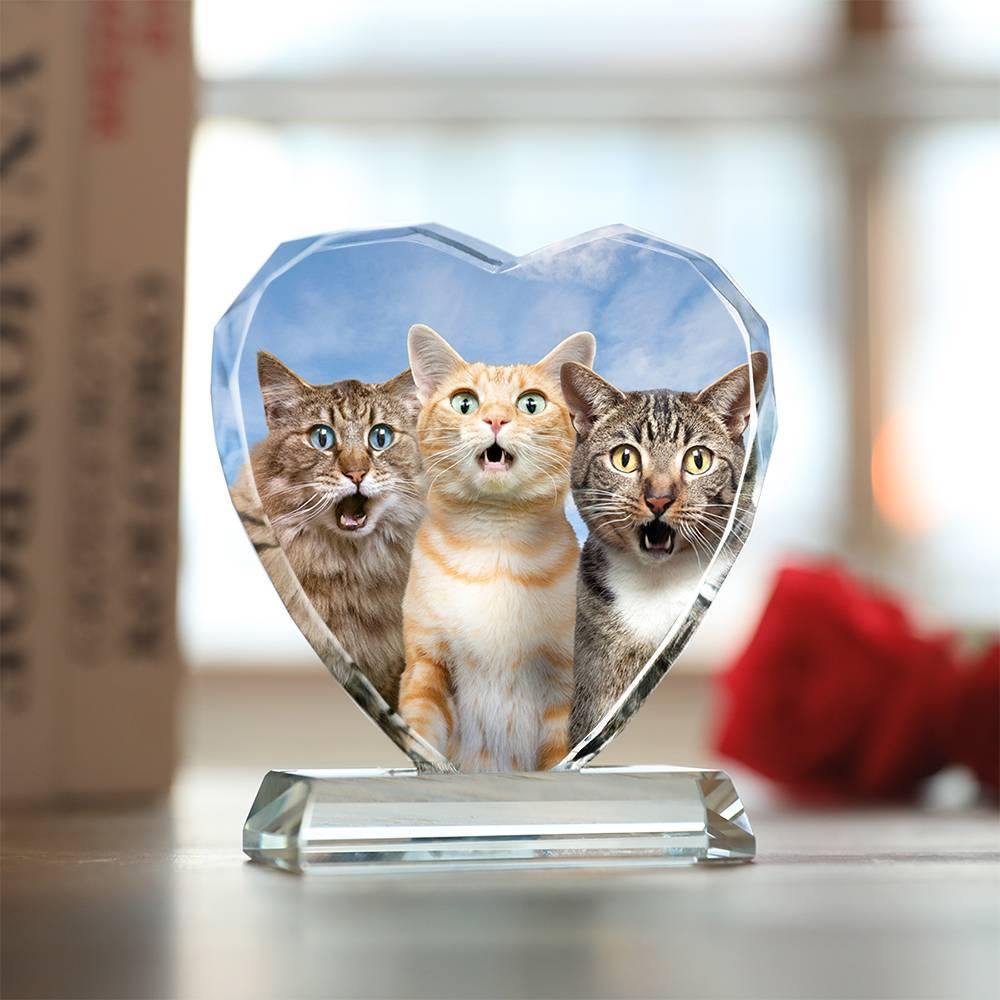 Custom Crystal Photo Frame Heart Shape Illuminate Cute Pet