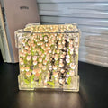DIY Sea Cube Flower Tulip Lamp Kit Material Package Infinite Garden Acrylic Three-Dimensional Night Lamp Easy Assembly DIY Gift Gift for Girlfriends
