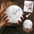 Photo Moon Lamp, Custom 3D Photo Light, Lamp Moon Cute Dog - Touch Two Colors 15cm Available