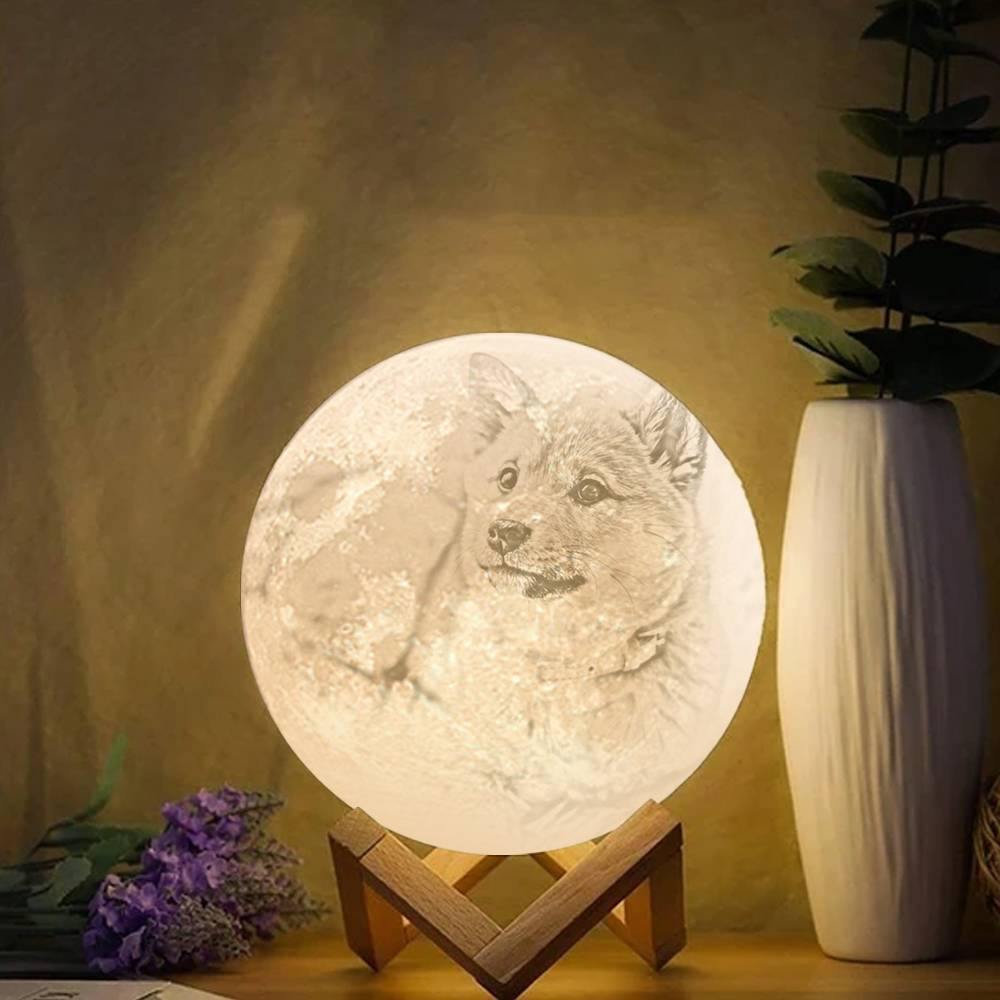 Photo Moon Lamp, Custom 3D Photo Light, Lamp Moon Cute Dog - Touch Two Colors 15cm Available